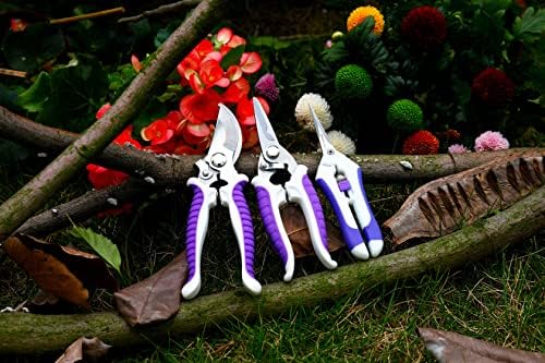 Forburi de tăiere de grădină, unelte de grădinărit bypass hand Pruner din oțel inoxidabil foarfecă, tăietor de arbori Clippers set de tuns set de 3, violet