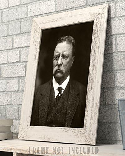 Lone Star Art Theodore Teddy Roosevelt Portret - 11x14 Imprimare neframed - Decor vintage excelent, face, de asemenea, un cadou