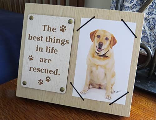 Unideco Wood Frame foto 4x6 - Frumoase cadouri iubitoare pentru câini de salvare Wall & Tabletop 4 x6 Rame de imagine - Țineți