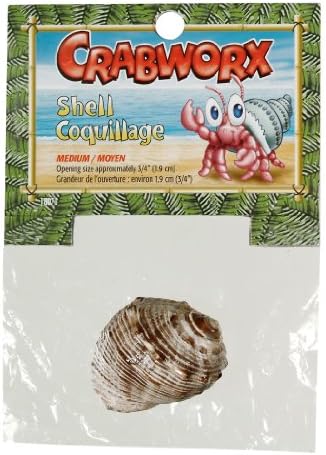 Crabworx Shell, Mediu