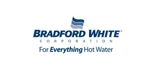 Bradford White 239-42133-00