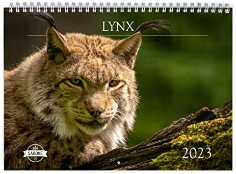 Lynx 2023 Calendar de perete