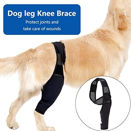Sainspeed Pet Dog Knee Brace-echipament de protecție reglabil câine pentru piciorul din spate protejează rănile-menține articulația