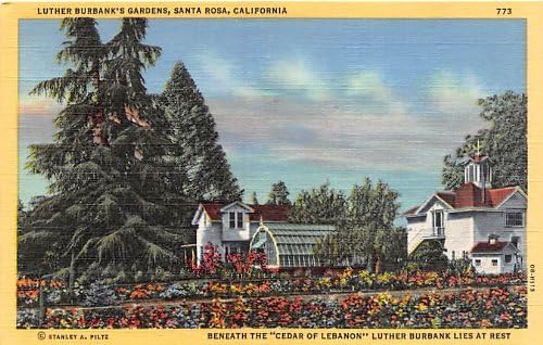 Santa Rosa, carte poștală din California