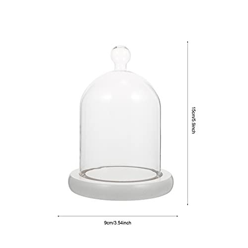 Vosareea Glass Cloche Bell Jar: Husa de tort de sticlă cu bază de lemn decorativă vitrină decorativă pe masă pentru plante