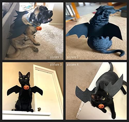 Bonlala Pet Cat Bat Wings, Kitten Puppy Costum Accesoriu Cosplay, Accesorii drăguțe cu îmbrăcăminte cu clopot
