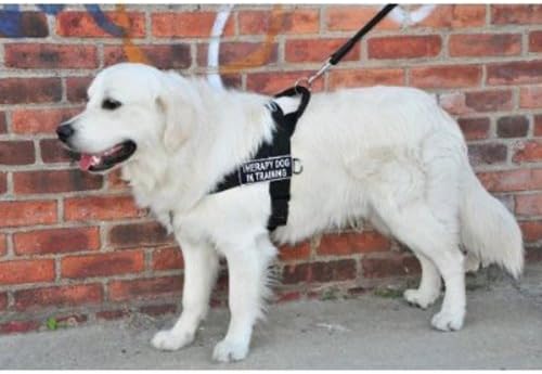 DT Universal No Pull Harness, câine de terapie în antrenament, negru, mare, se potrivește cu dimensiunea circumferinței: 31-inch