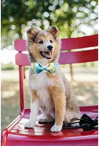 Guler de câine de bumbac hfdgdfk cu papion reglabil cravată pentru animale de companie guler albastru guler de câine pentru