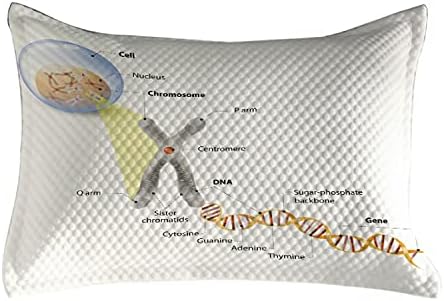 Pillow Pillow Pillow Science Science, Cromozomul celular ADN genom Studiu genomul genomului dublu helix Evolution Science Research,