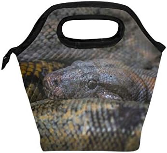 Heoeh Reptile Anaconda Snake prânz sac Cooler Tote sac izolate fermoar prânz cutii Geantă de mână pentru birou școală în aer