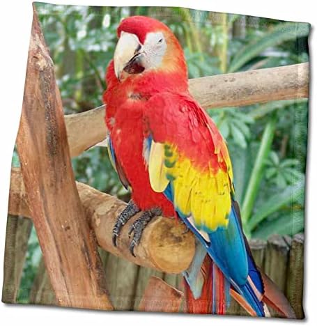 3drose Florene păsări-papagal viu pe copac Tropical-prosoape
