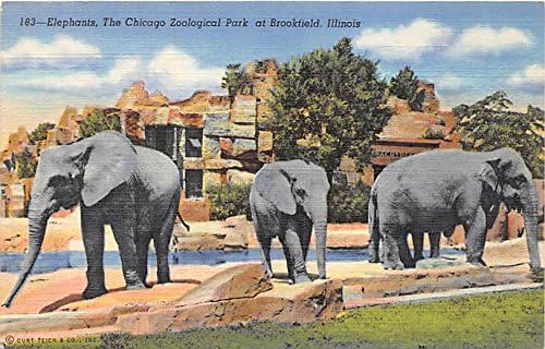 Brookfield, Illinois Postcard