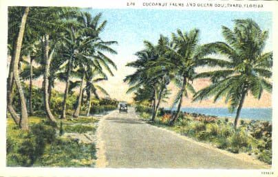Ocean Boulevard, Florida Postcard
